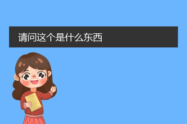 请问这个是什么东西