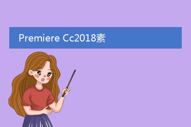 Premiere Cc2018素材怎么局部放大? Pr视频局部放大的教程