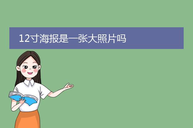 12寸海报是一张大照片吗