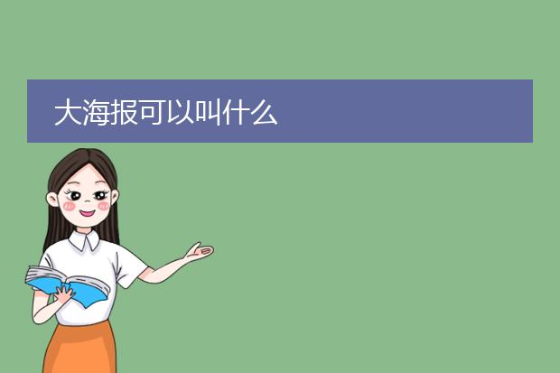大海报可以叫什么