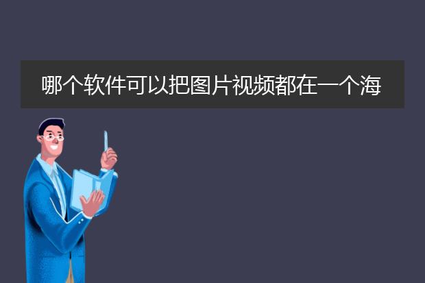 哪个软件可以把图片视频都在一个海报里面?