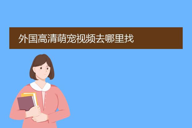 外国高清萌宠视频去哪里找