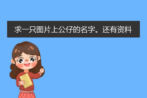 求一只图片上公仔的名字。还有资料。