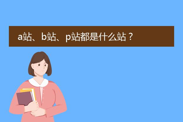 a站、b站、p站都是什么站？