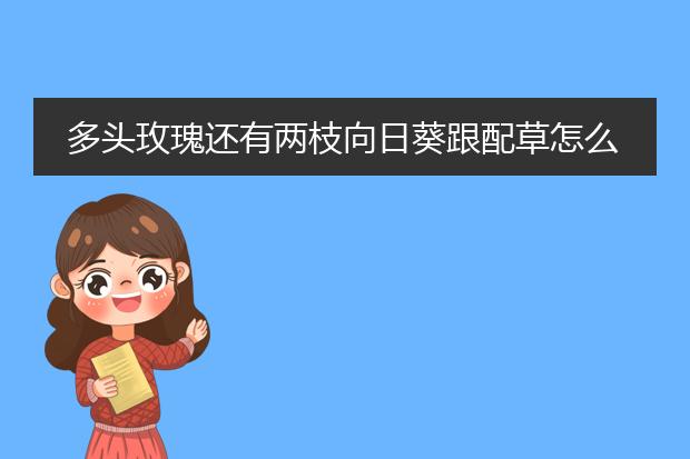 多头玫瑰还有两枝向日葵跟配草怎么插好看
