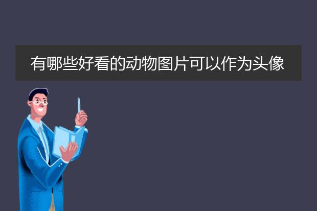 有哪些好看的动物图片可以作为头像