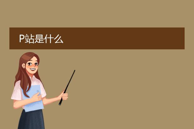 P站是什么