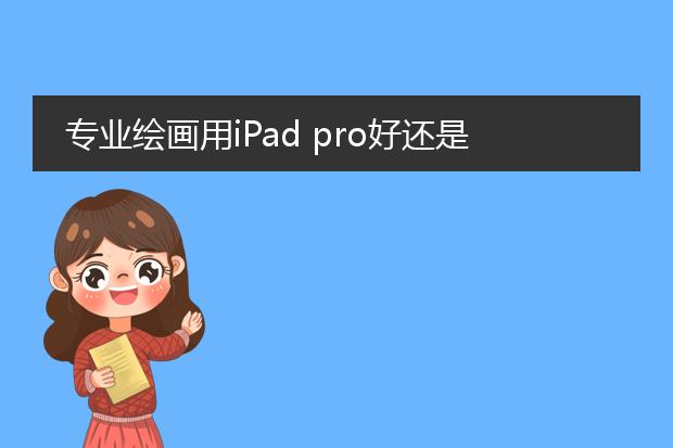 专业绘画用iPad pro好还是Wacom数位屏好？求告诉！