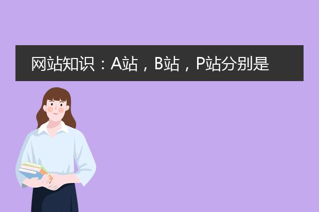 网站知识：A站，B站，P站分别是指什么网站
