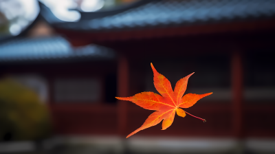 枫叶亚洲建筑摄影图