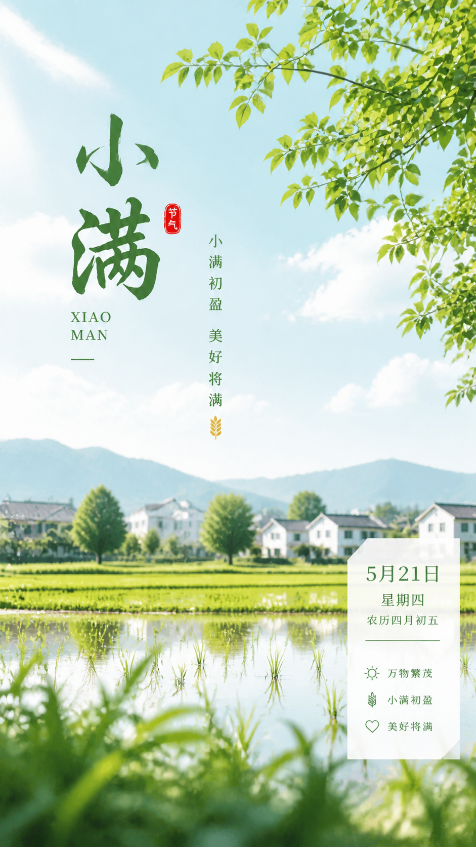24节气小满禾苗渐茂创意手机海报