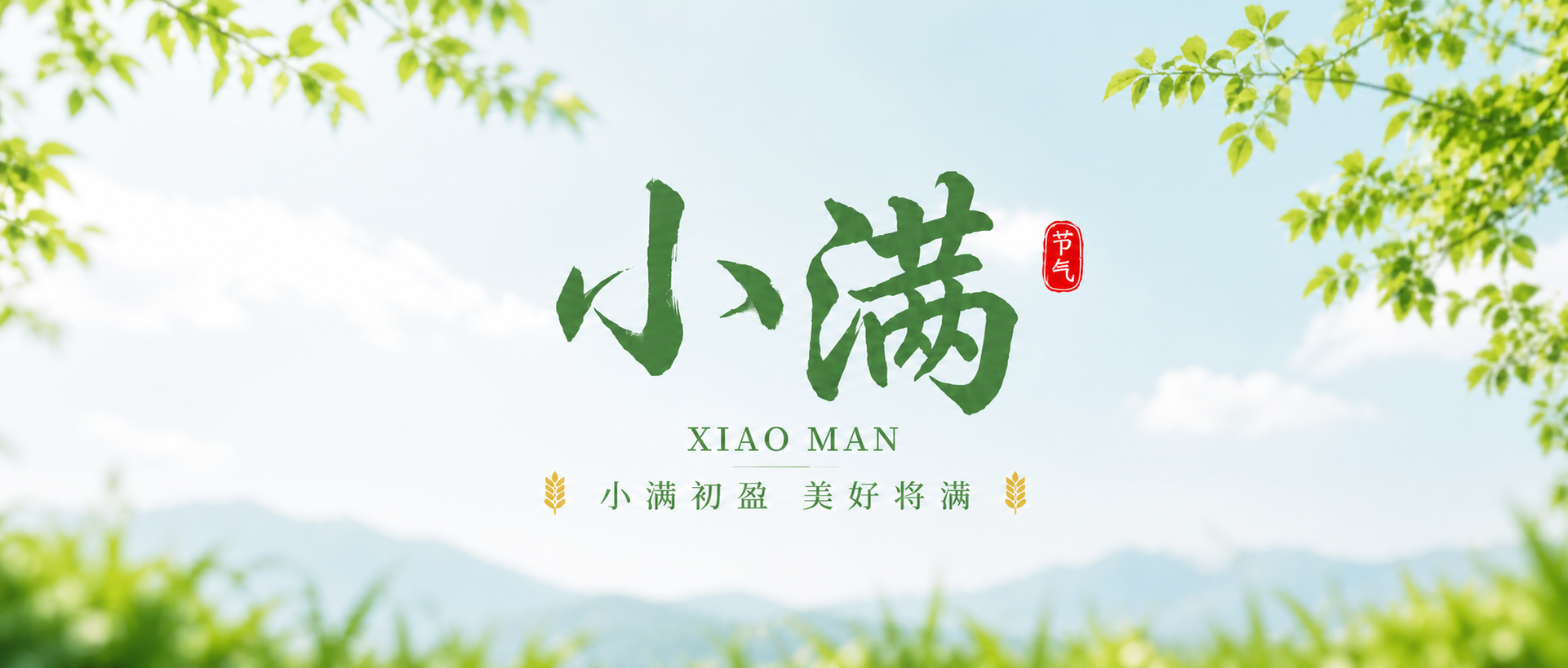 小满节气小清新风微信公众号首图