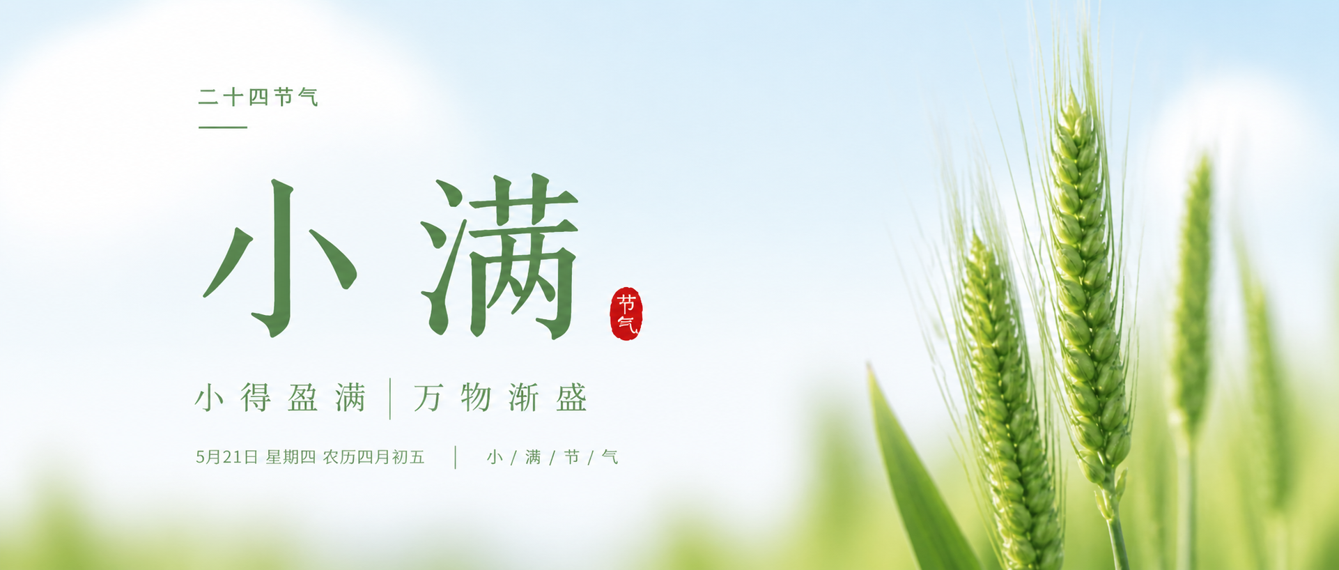 小满节气麦穗初齐微信公众号首图