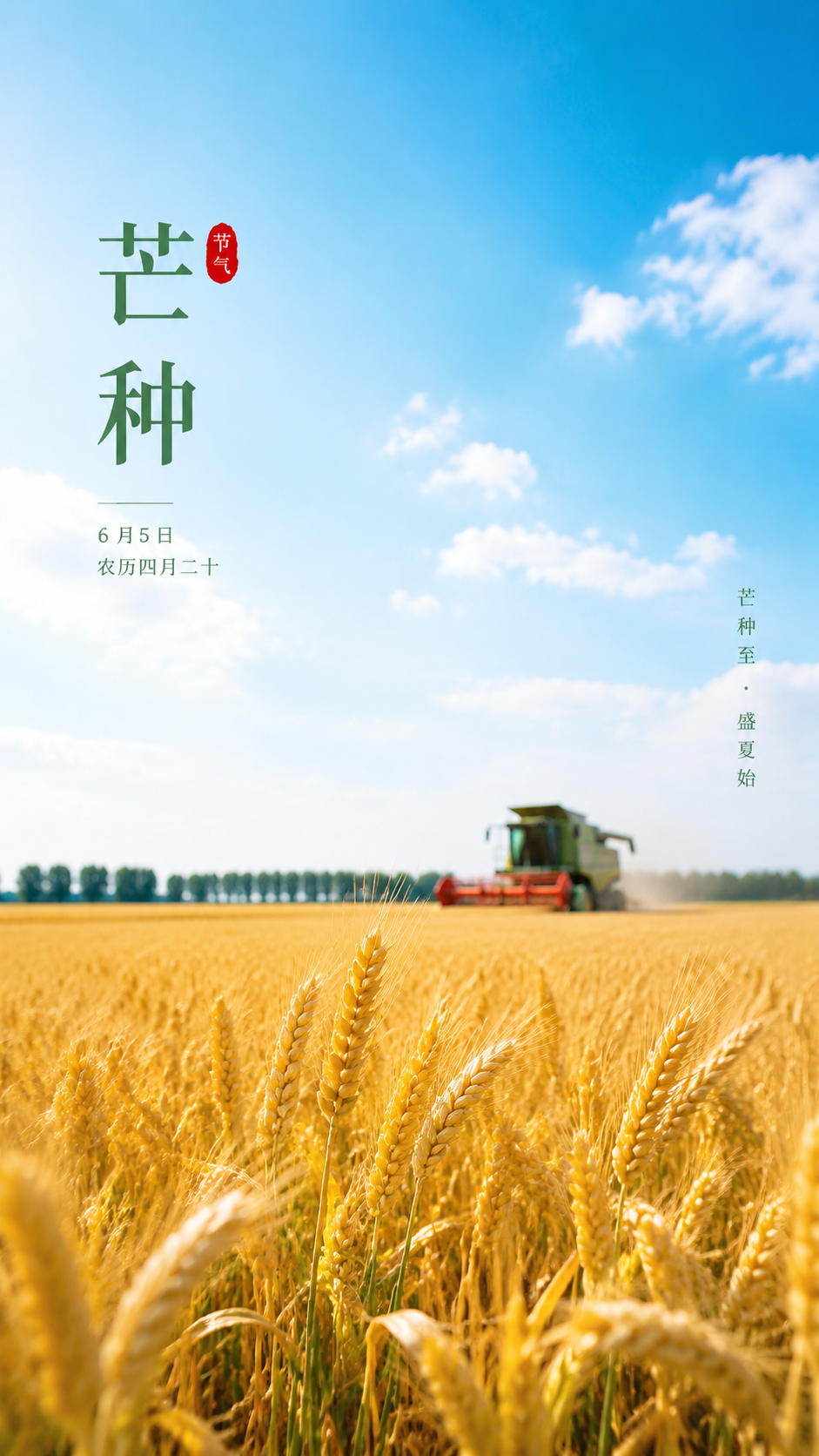 二十四节气芒种实景宣传手机海报