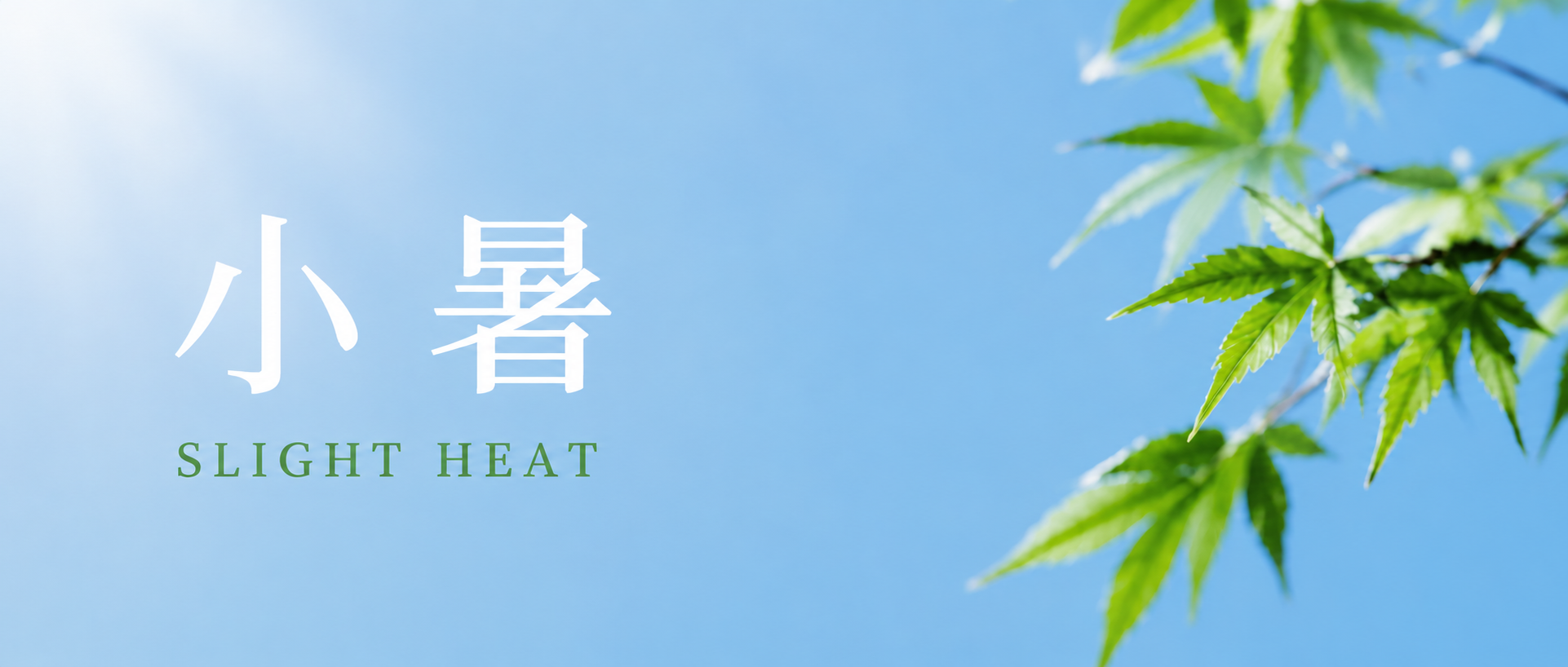 小暑时节顺时养生微信公众号首图