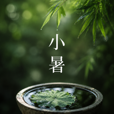 小暑初临实景宣传微信公众号次图