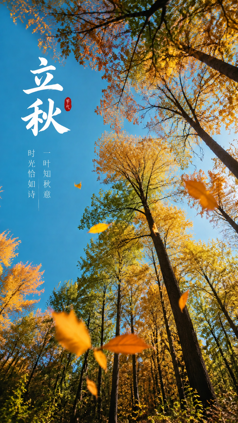 立秋时节碧空如洗实景宣传手机海报
