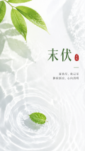 末伏静养舒怀纯色小清新风手机海报