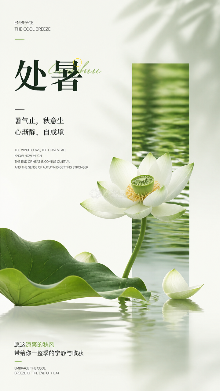处暑时节荷花实景宣传手机海报