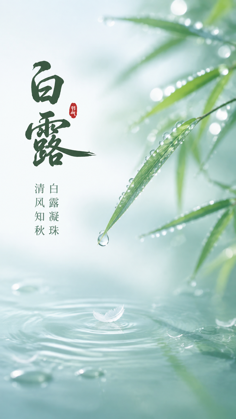 二十四节气白露静享清秋手机海报