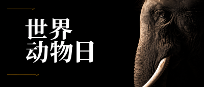 保护动物共享美好家园微信公众号首图