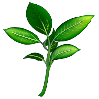 植物插画素材