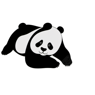 熊猫插图素材