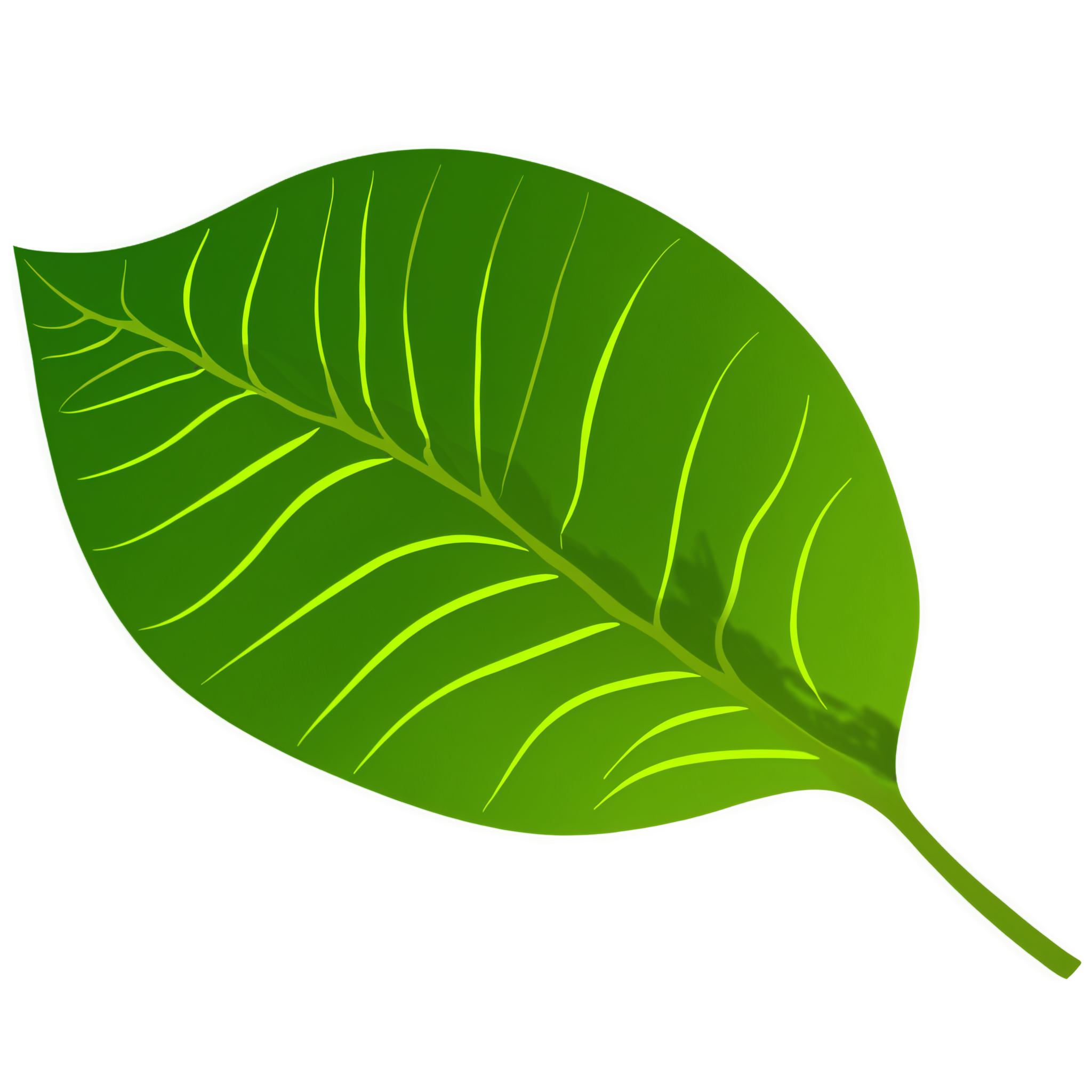 透明背景高清PNG插画素材