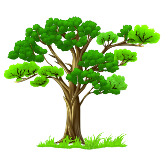 森林插画
