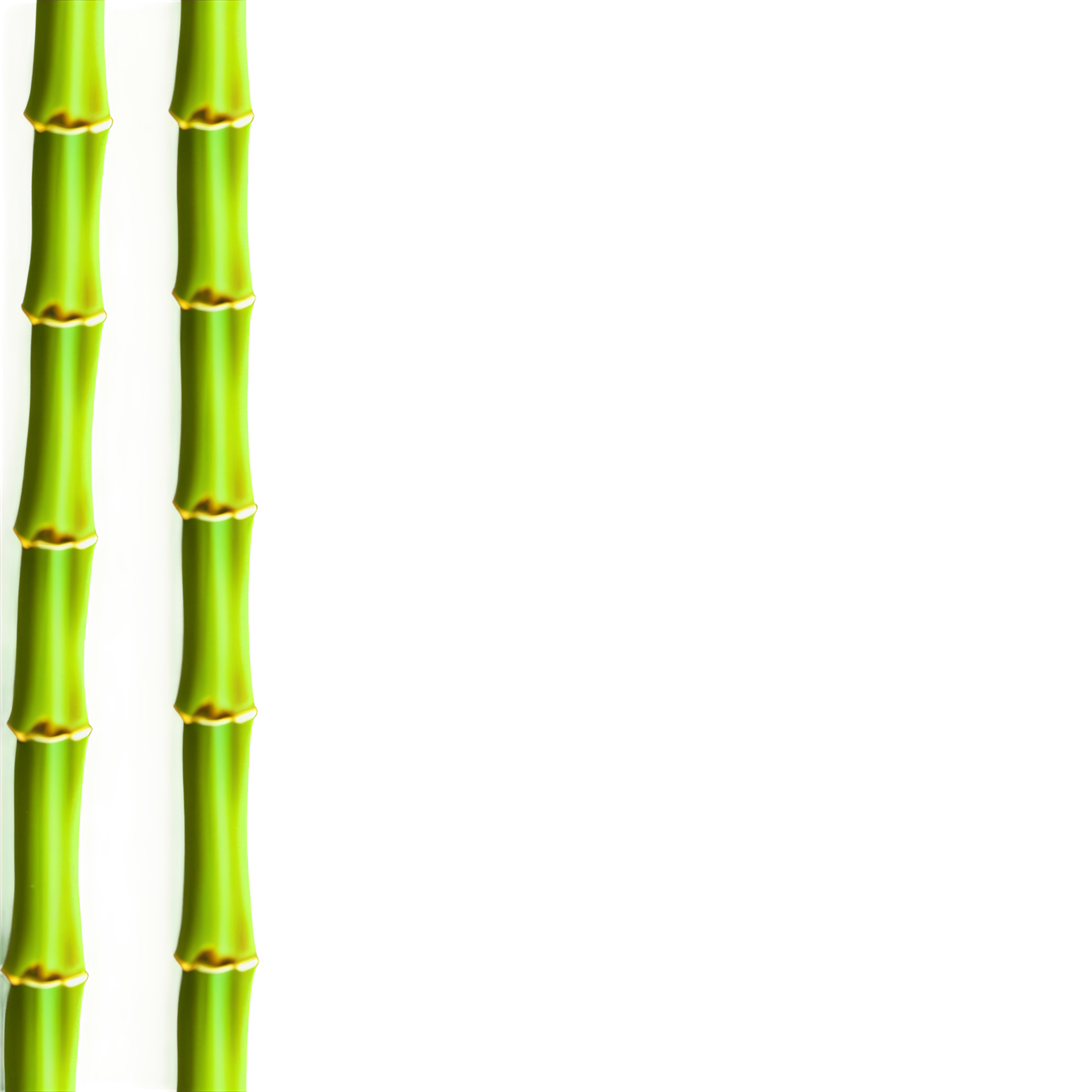 竹子插图素材