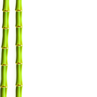竹子插图素材