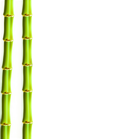 竹子插图素材