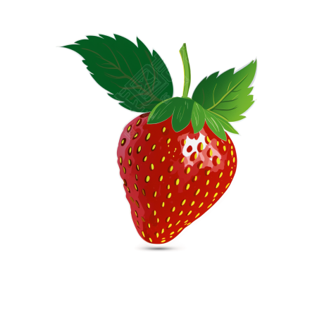 草莓插图设计素材