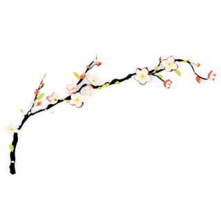梅花插画素材