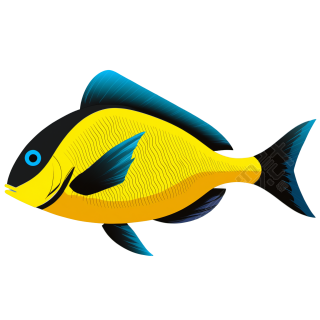 海洋生物插画素材