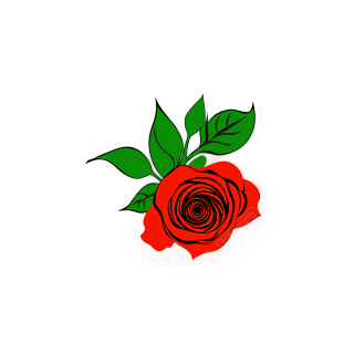 玫瑰插画素材