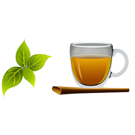 茶插画素材