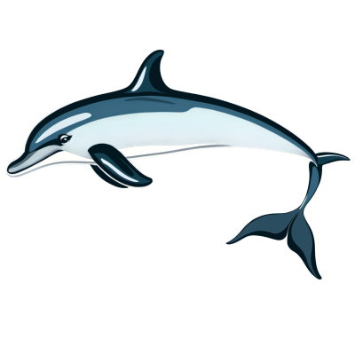 精美海豚插图素材