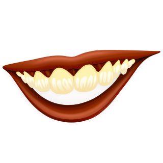 可爱牙齿插画素材