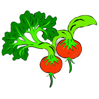 可爱蔬菜插画素材