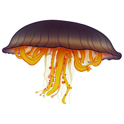 水母插画素材