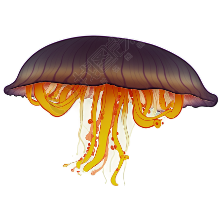 水母插画素材