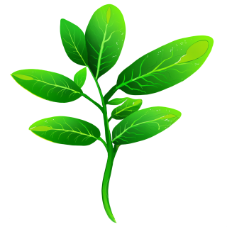 绿色植物插图素材