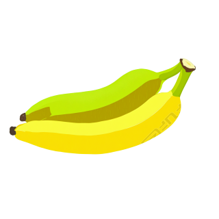 香蕉插图素材