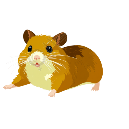 可爱仓鼠插图素材