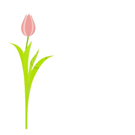 郁金香插画素材