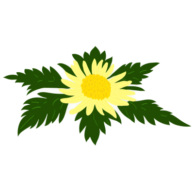 菊花插画素材