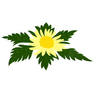菊花插画素材