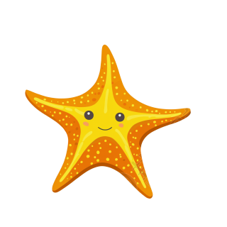星鱼插画图片素材