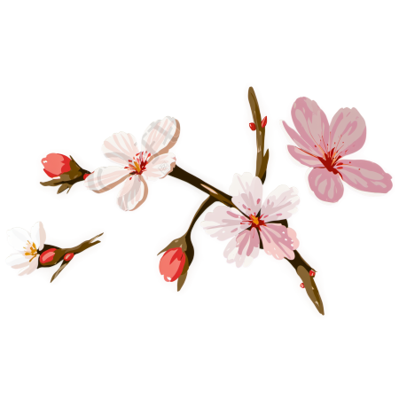 免费高清透明背景插画设计素材图片